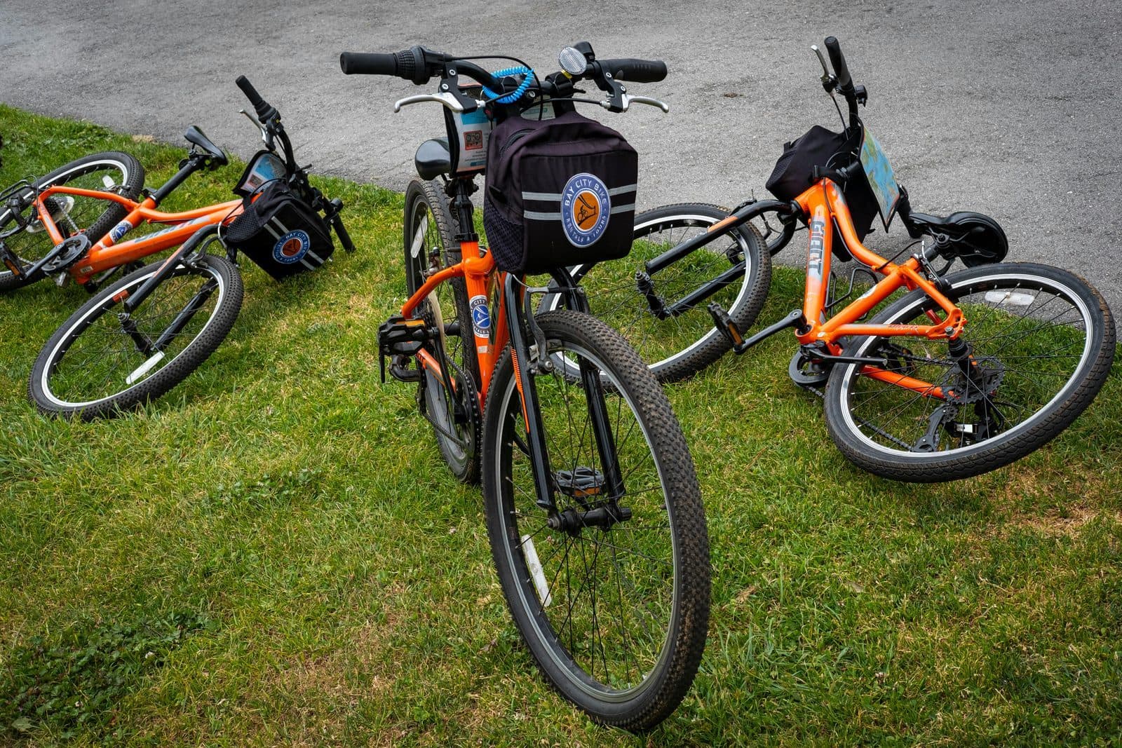 Why I Stopped Renting Beach Bikes and Bought This Instead